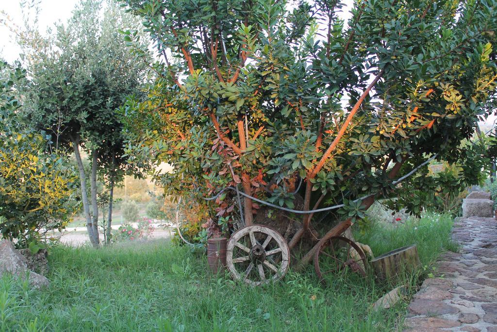 Agriturismo Su Recreu Ittiri 외부 사진