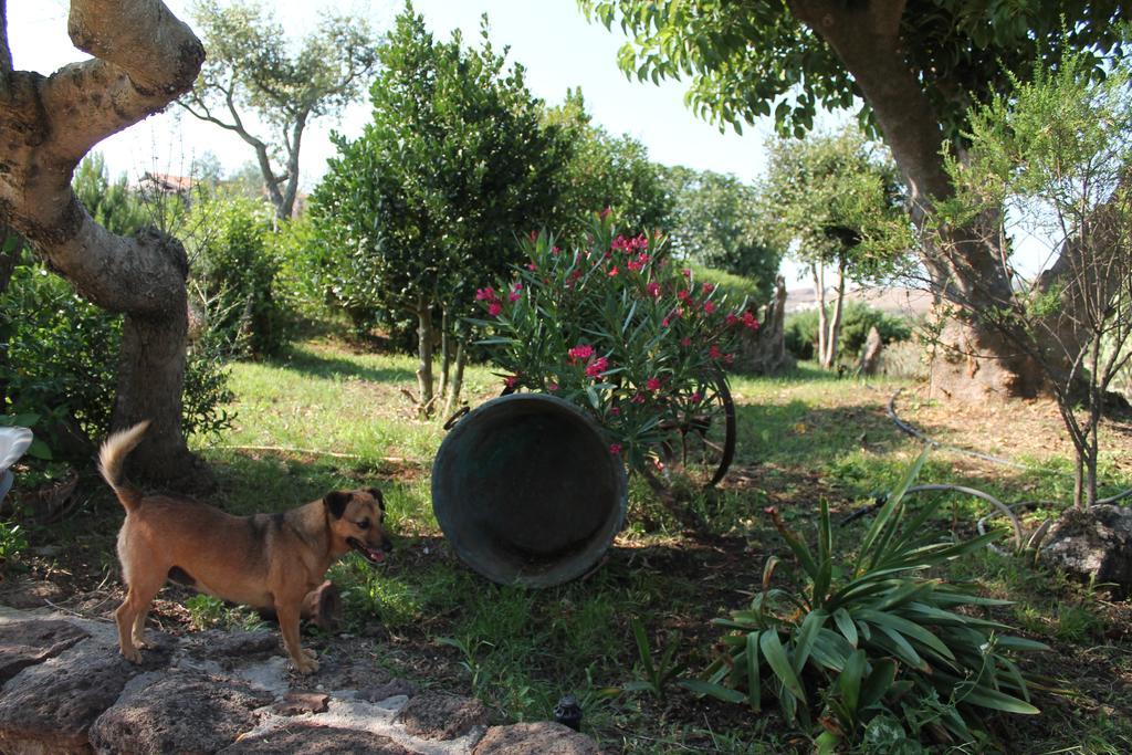 Ittiri Agriturismo Su Recreu 빌라 외부 사진