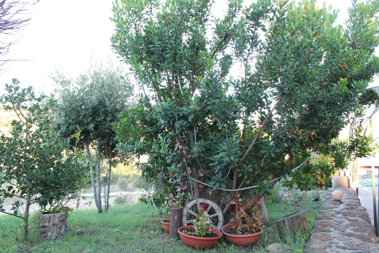 Agriturismo Su Recreu Ittiri 외부 사진