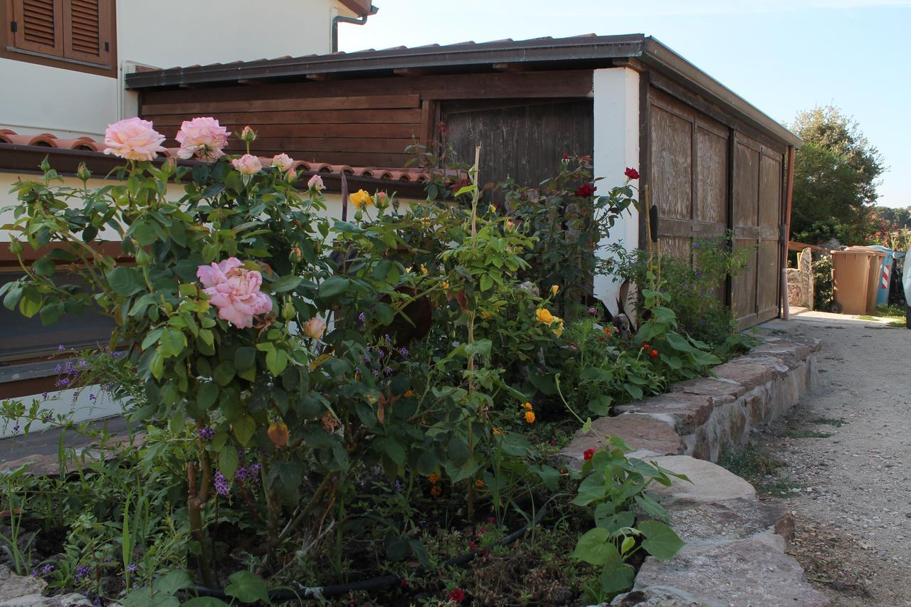 Agriturismo Su Recreu Ittiri 외부 사진