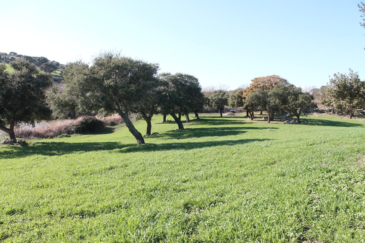 Agriturismo Su Recreu Ittiri 외부 사진