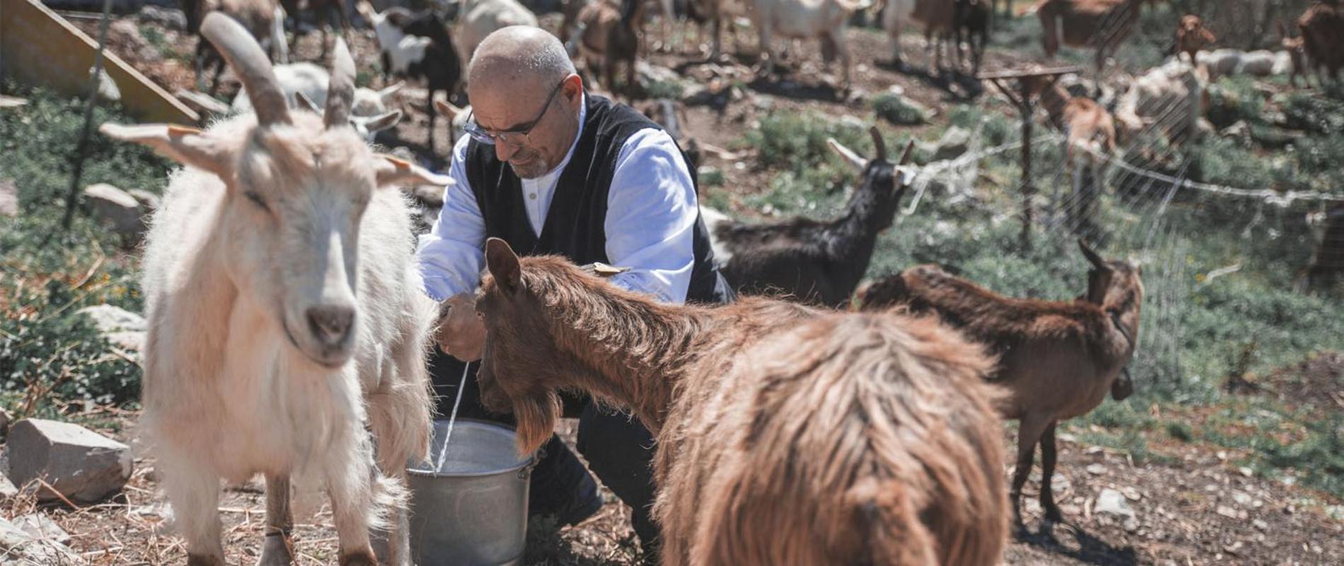 Ittiri Agriturismo Su Recreu 빌라 외부 사진